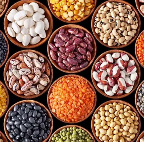 Beans---735w.jpg Beans---735w.jpg