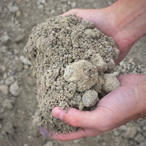 Screened+Cushion+Sand+3+in Screened+Cushion+Sand+3+in